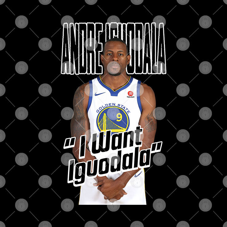 Steph Curry Andre Iguodala Shirt