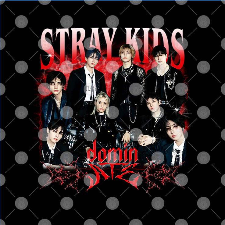 Stray Kids T Shirt