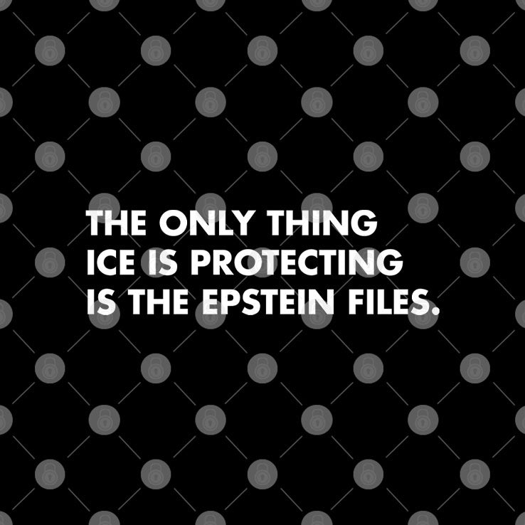 The Only Thing ICE Is Protecting Is The Epstein Files T Shirt