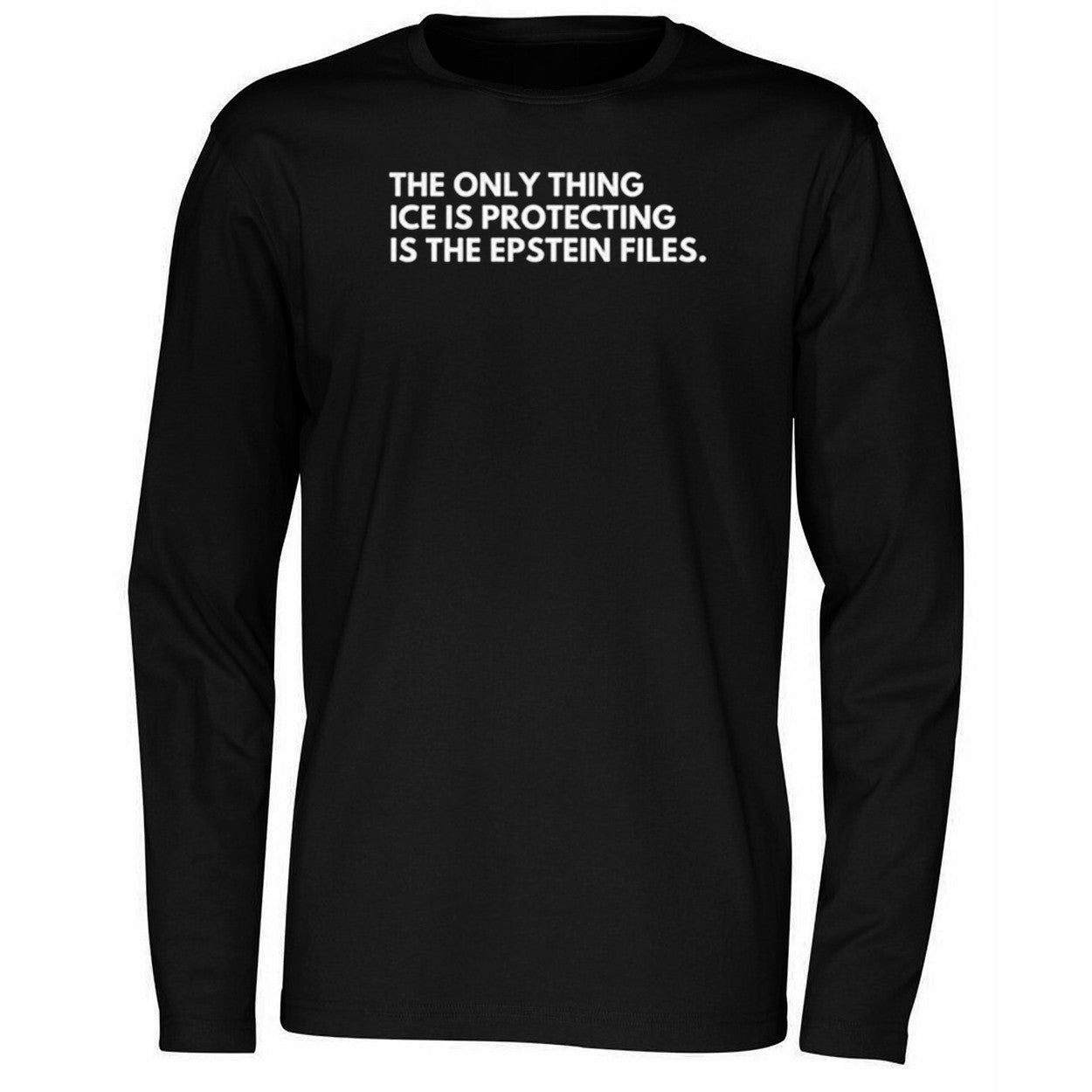 The Only Thing Ice Is Protecting Is The Epstein Files Shirt