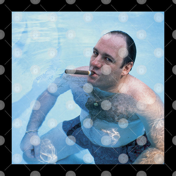 The Sopranos Tony Soprano Pool Cigar TV Show Fan T Shirt