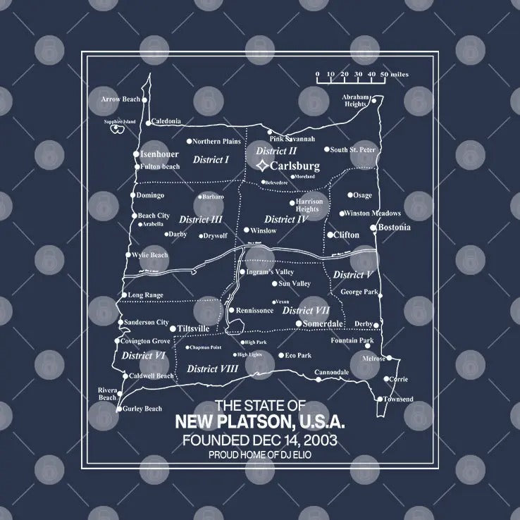 The State Of New Platson USA Sweatshirt