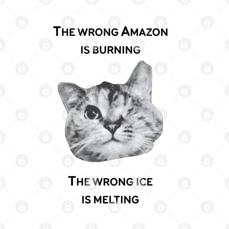 The Wrong Amazon Is Burning The Wrong Ice Is Melting T Shirt