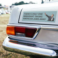 There’s Only One Immigrant Taking American Jobs Away Elon Musk Car Magnet