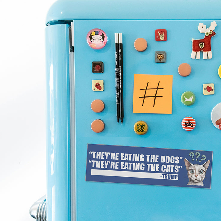 They Are Eating The Dogs They Are Eating The Cats Car Magnet