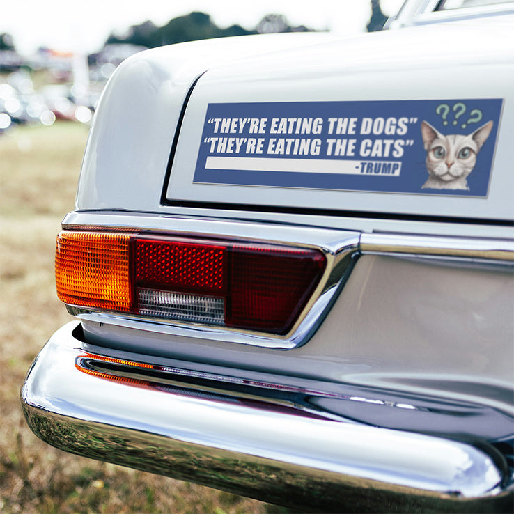 They Are Eating The Dogs They Are Eating The Cats Car Magnet