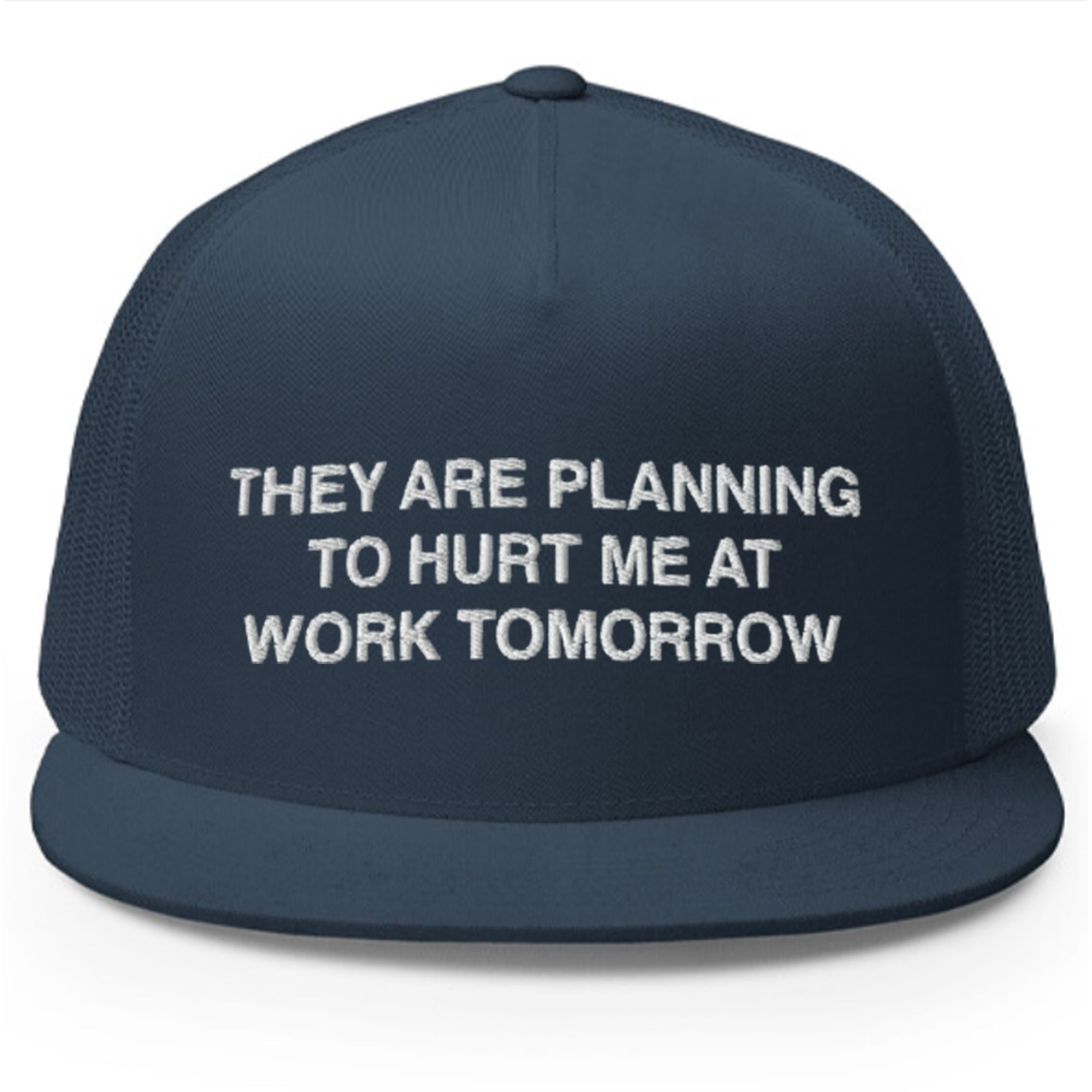 They Are Planning To Hurt Me At Work Tomorrow Hat