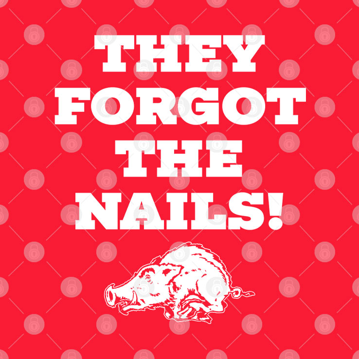They Forgot The Nails Arkansas Razorbacks Hoodie