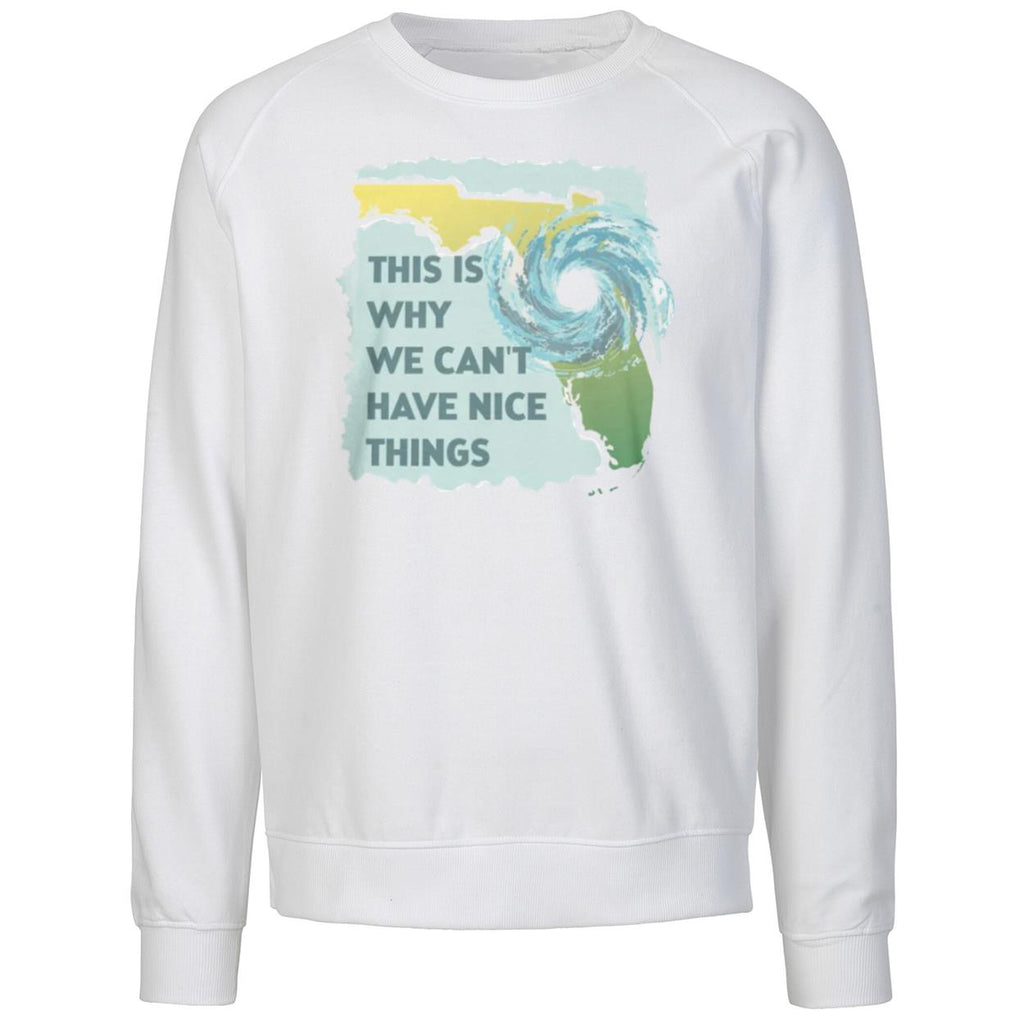 This Is Why We Can’t Have Nice Things Shirt