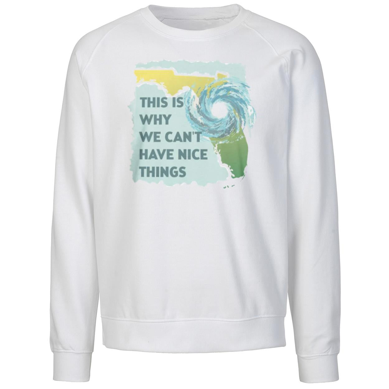 This Is Why We Can’t Have Nice Things Shirt