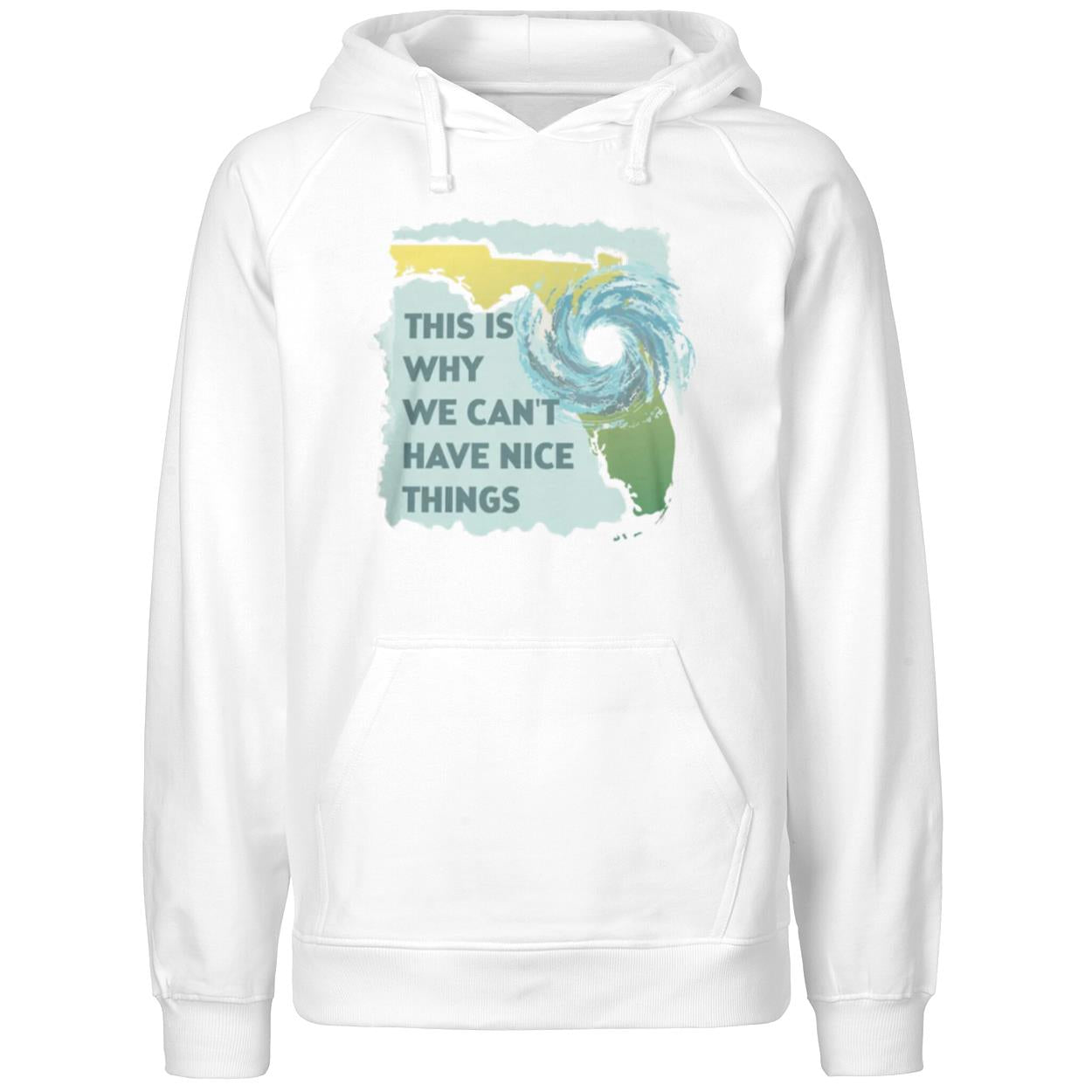 This Is Why We Can’t Have Nice Things Shirt