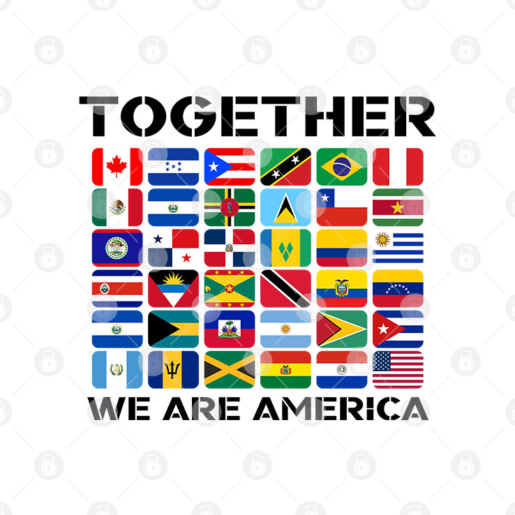 Together We Are America Flags T Shirt