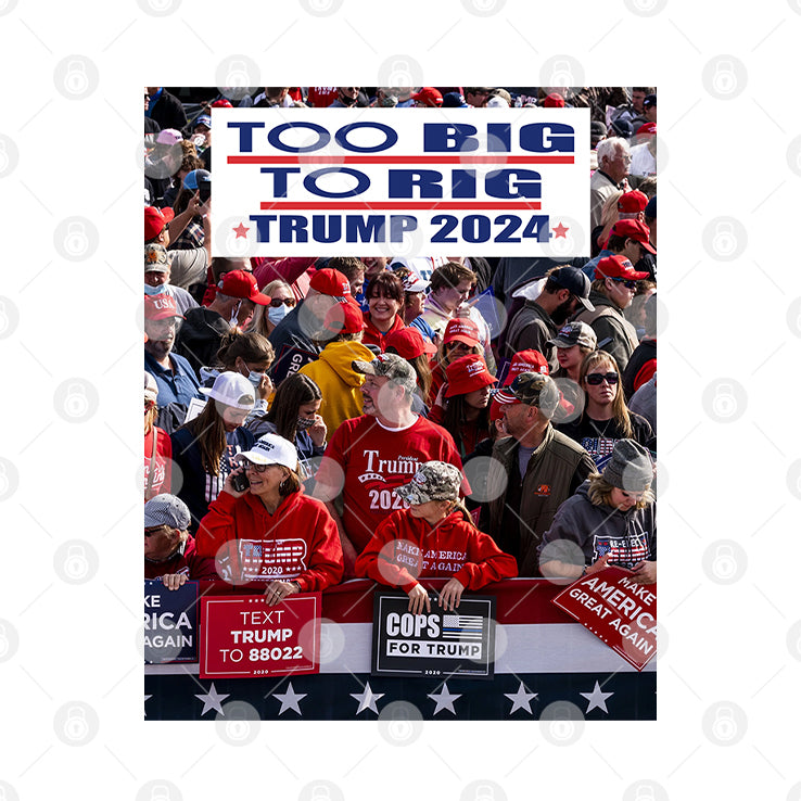 Too Big To Rig Trump 2024 T Shirt