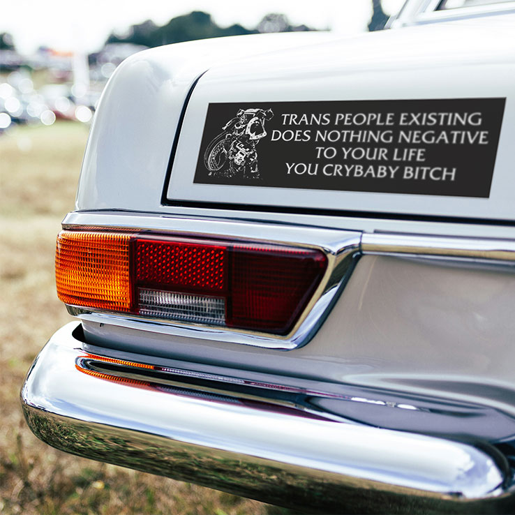 Trans People Existing Does Nothing Negative To Your Life Car Magnet