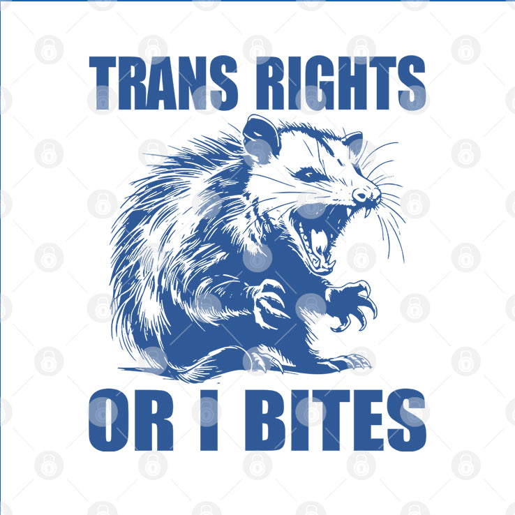 Trans Rights Or I Bites Raccoon T Shirt