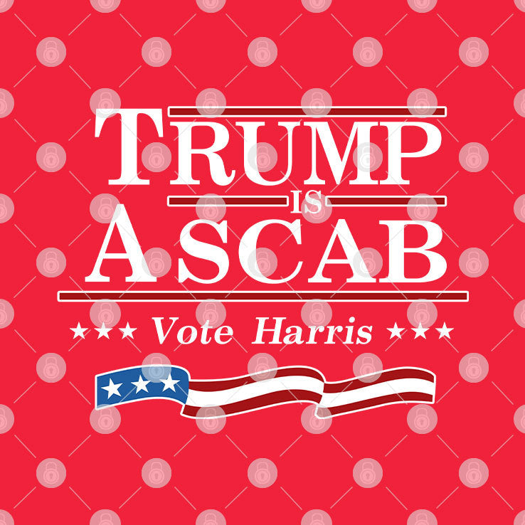 Trump Is A Scab Vote Harris Flag 2024 Shirt