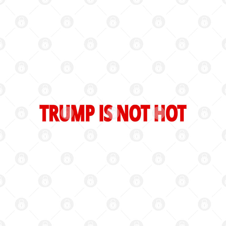 Trump Is Not Hot T Shirt