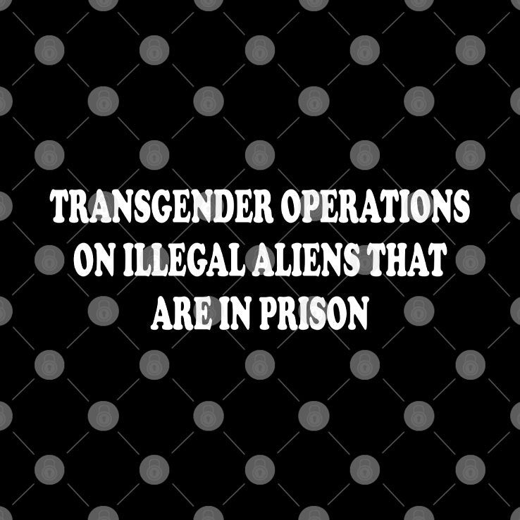 Trump Transgender Operations On Illegal Aliens That Are In Prison Hoodie