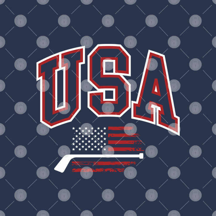 USA Hockey Men’s And Women’s Hockey Champions Hoodie