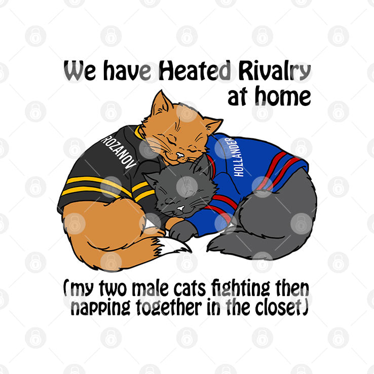 We Have Heated Rivalry At Home My Two Male Cats Fighting Then Napping Together In The Closet Shirt
