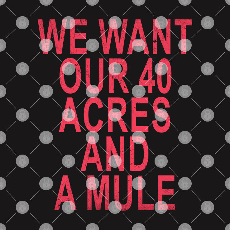 We Want Our 40 Acres And A Mule Shirt