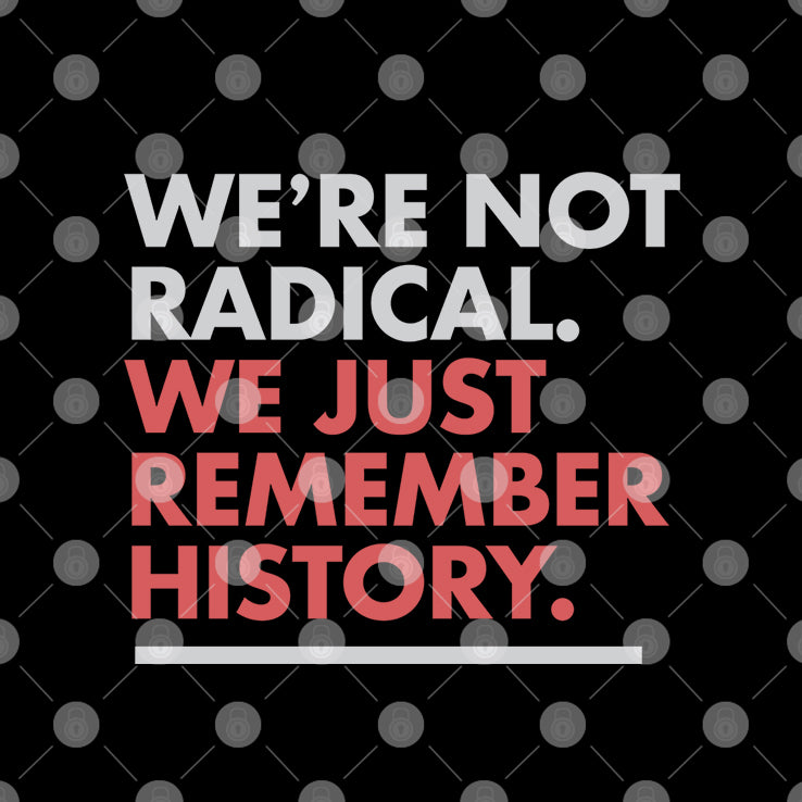 We’re Not Radical We Just Remember History T Shirt