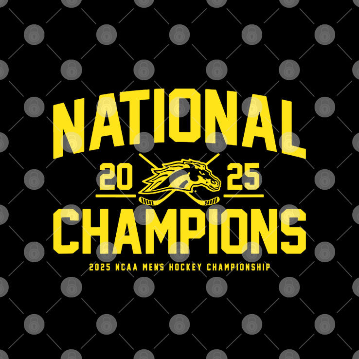 Western Michigan Broncos 2025 National Champions Shirt
