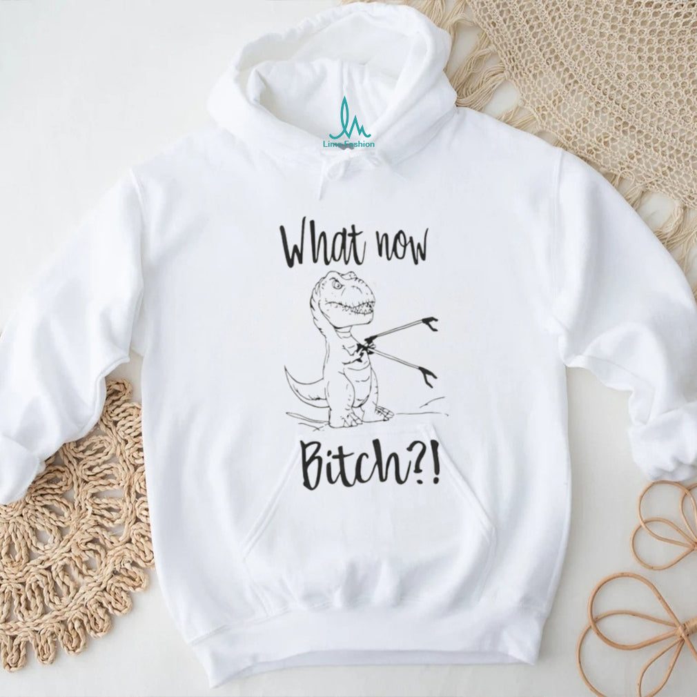 What Now Bitch T Rex With Grabber Funny Dinosaur T Shirt