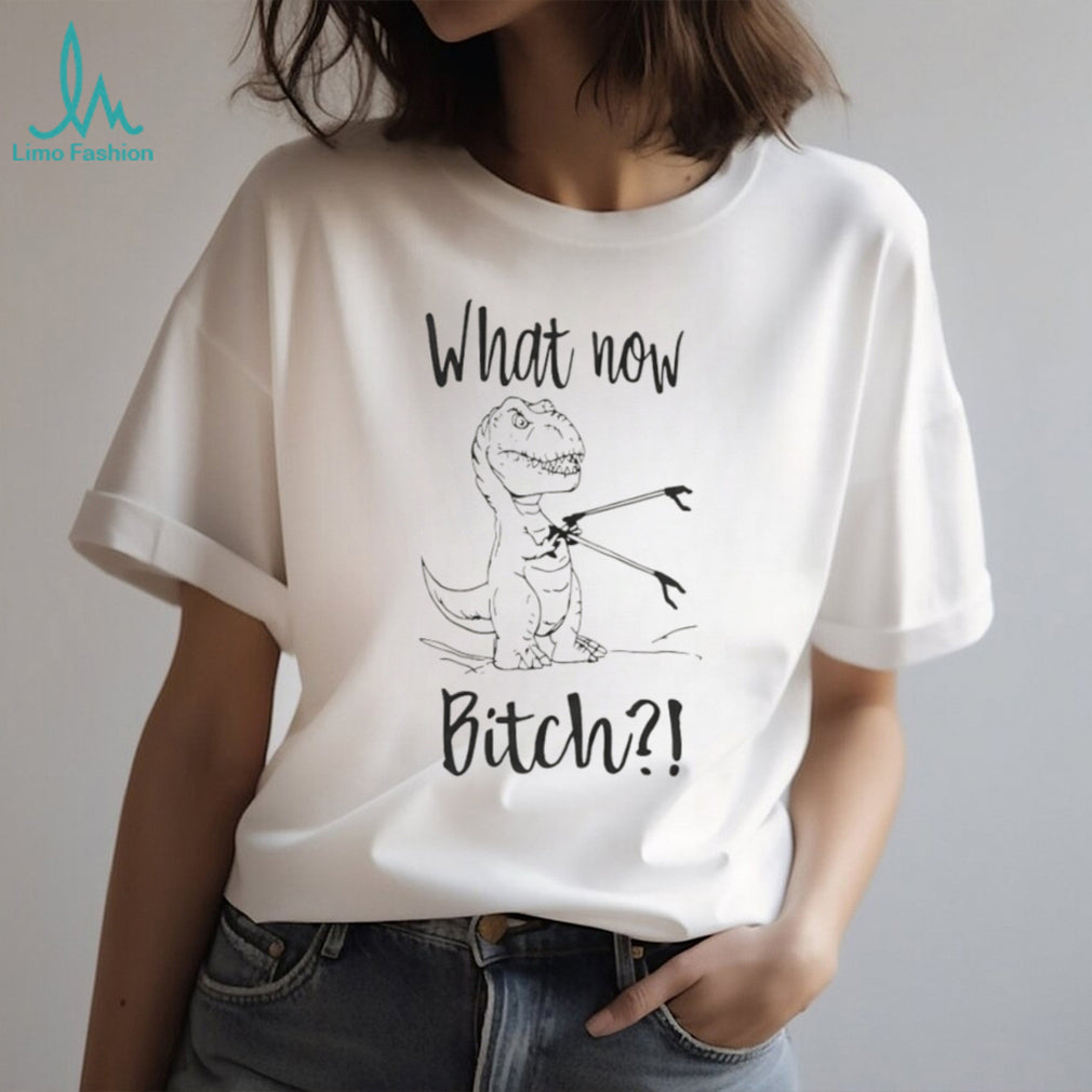 What Now Bitch T Rex With Grabber Funny Dinosaur T Shirt