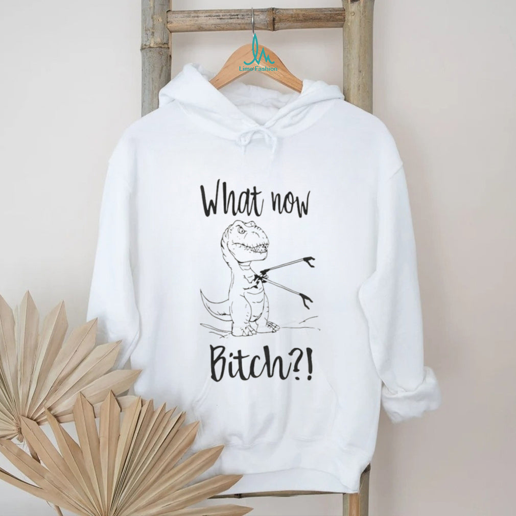 What Now Bitch T Rex With Grabber Funny Dinosaur T Shirt
