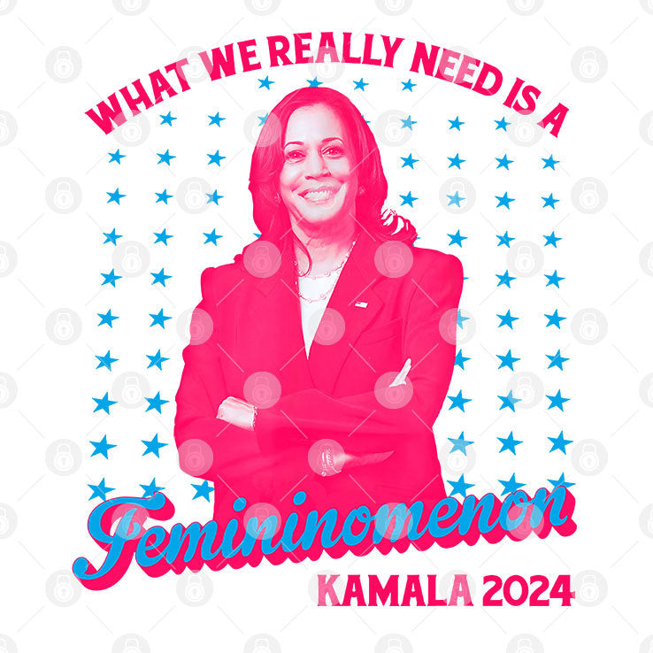What We Really Need Is A Femininomenon Kamala 2024 T Shirt