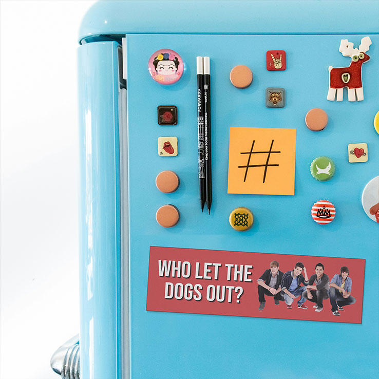 Who Let The Dogs Out Big Time Rush Car Magnet