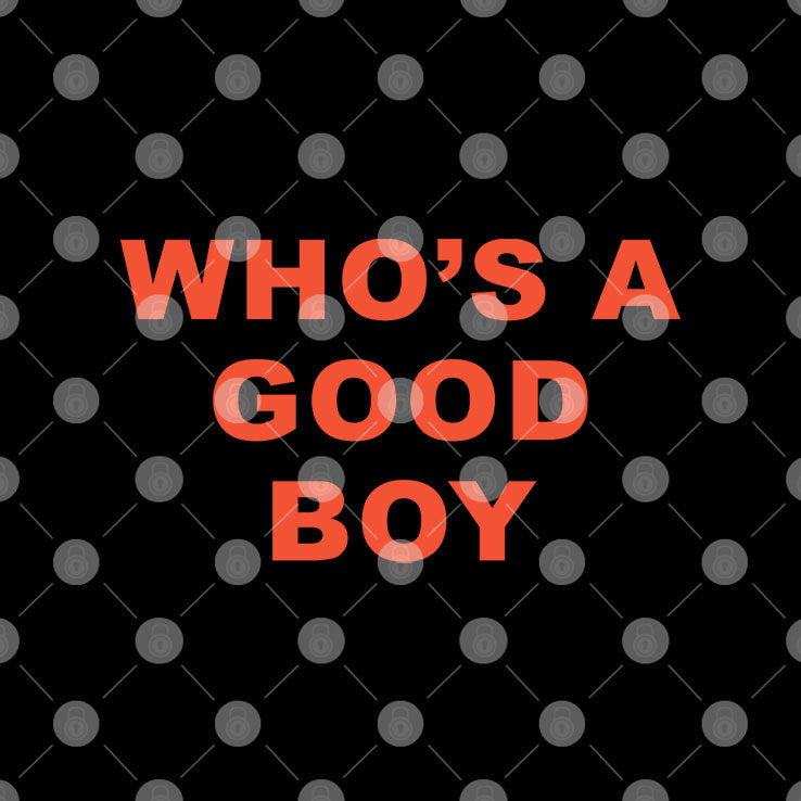 Who’s A Good Boy T Shirt