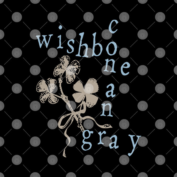 Wishbone Conan Gray T Shirt