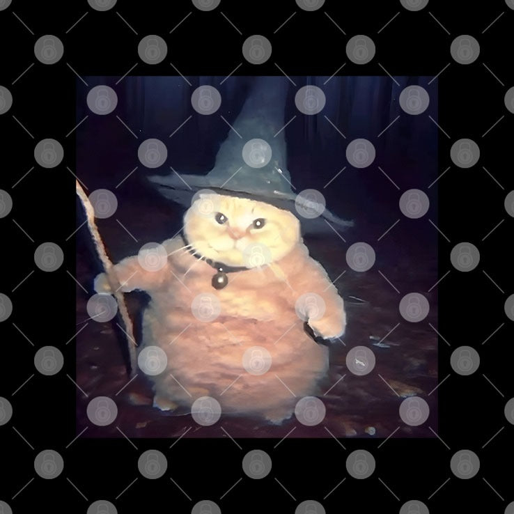 Cheeseball The Wizard Cat Meme Shirt