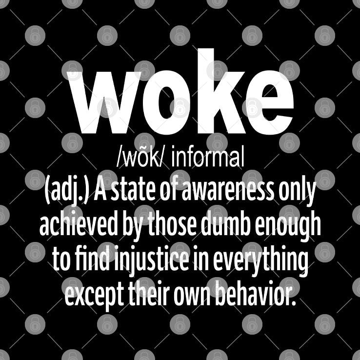 Woke Definition T Shirt