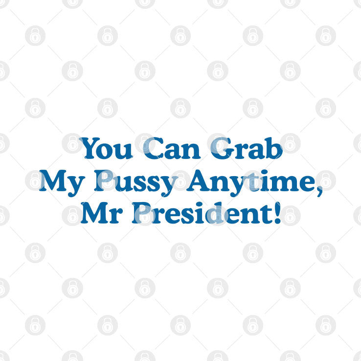 You Can Grab My Pussy Anytime Mr President T Shirt