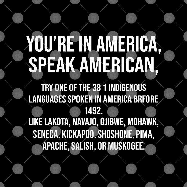 You’re In America Speak American Try One Of The 381 Indigenous Shirt