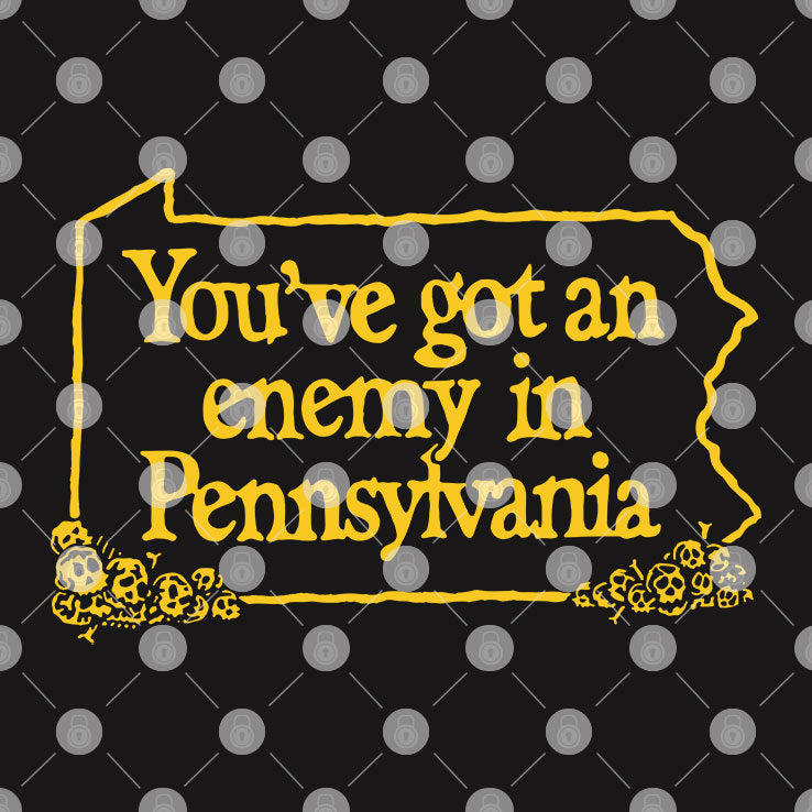 You’ve Got An Enemy In Pennsylvania T Shirt
