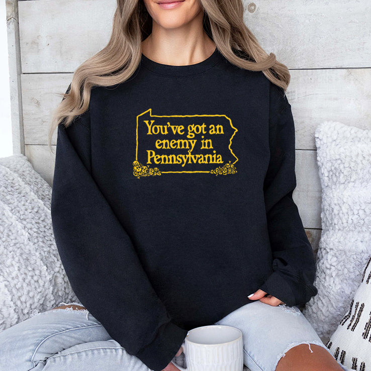 You’ve Got An Enemy In Pennsylvania T Shirt