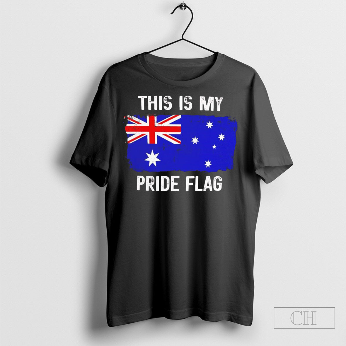 This Is My Pride Flag Shirt
