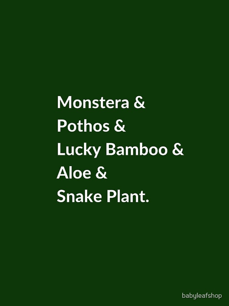 Monstera & Pothos & Aloe Plants LIST by babyleafshop