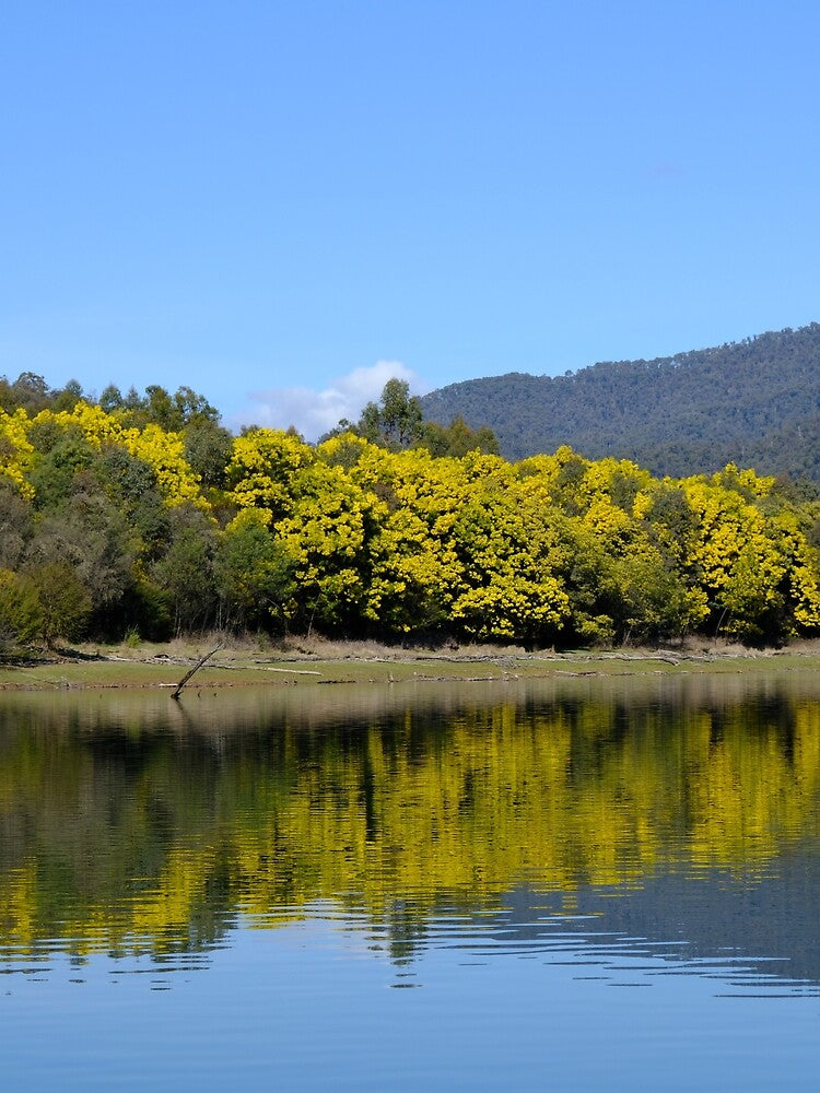 Spring Time At Lake Buffalo by Robbie Alexander