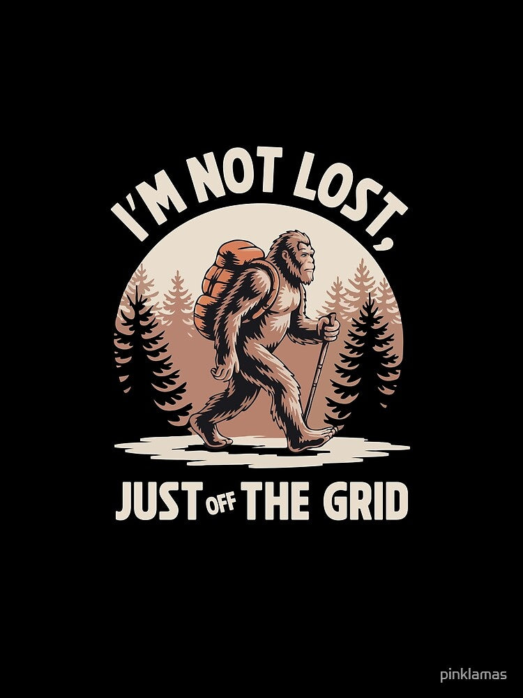 I'm Not Lost by pinklamas