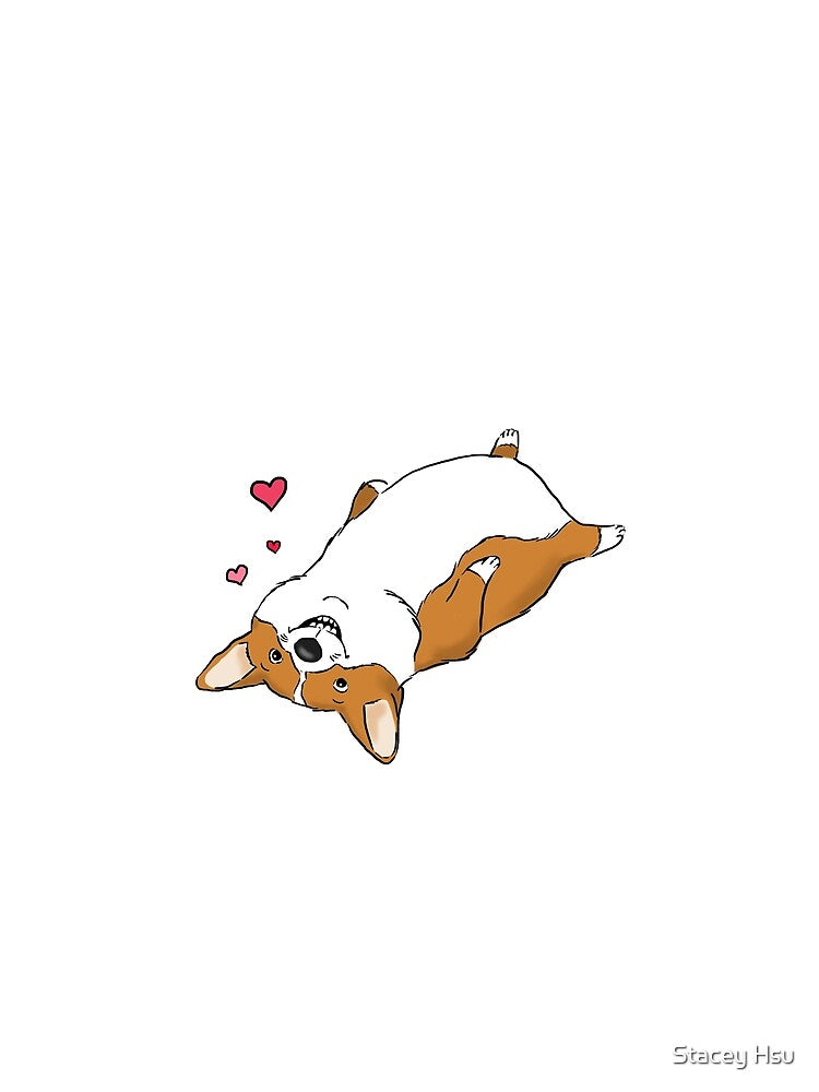 Playful Corgi, Funny Corgi, Corgi Belly by Furkid Studio