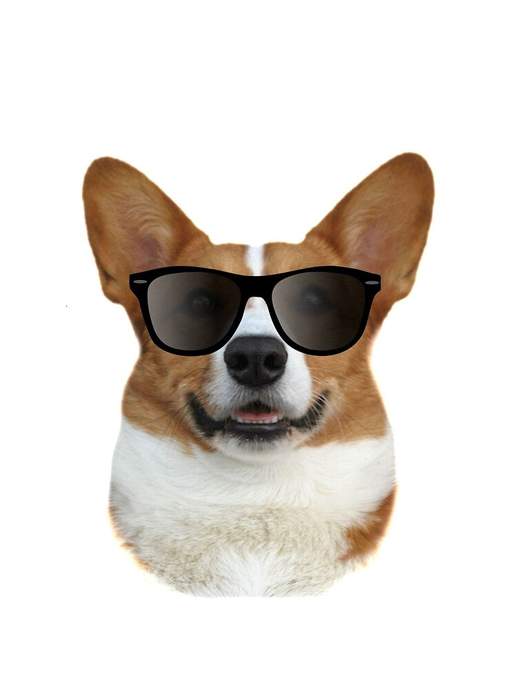 Cool Corgi with Sunglasses by Curtis Cline