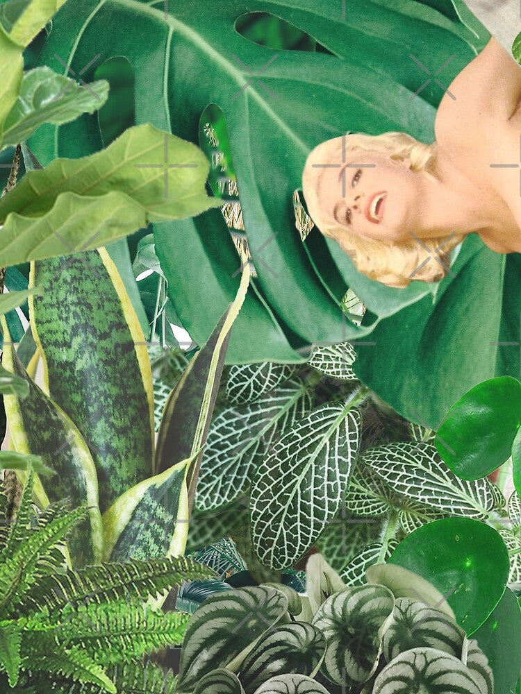 Crazy plant lady /// Indoor jungle by MsGonzalez