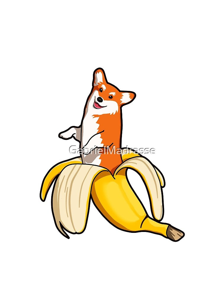 Corgis come from bananas by GabrielMadrasse