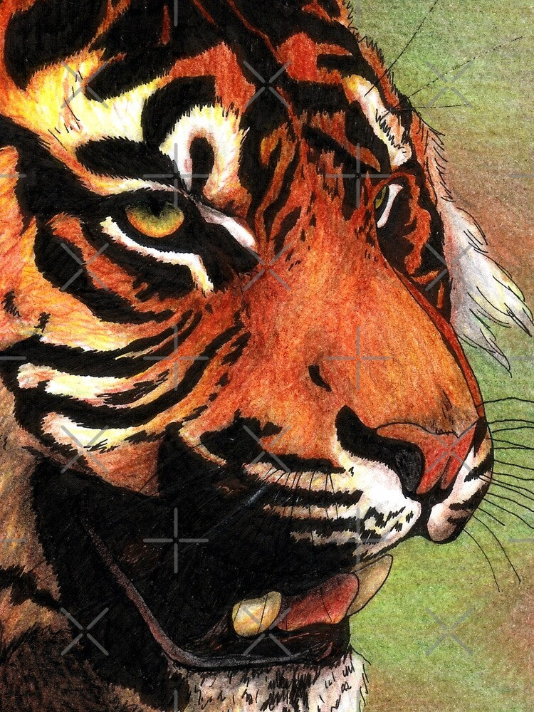 Tiger's mouth by savousepate