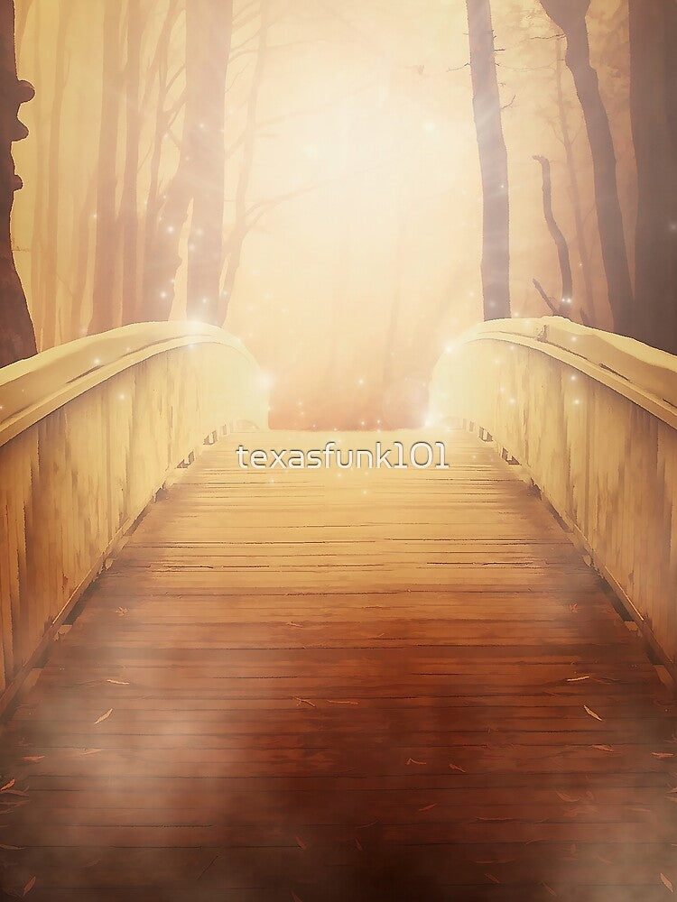 The Bridge by texasfunk101